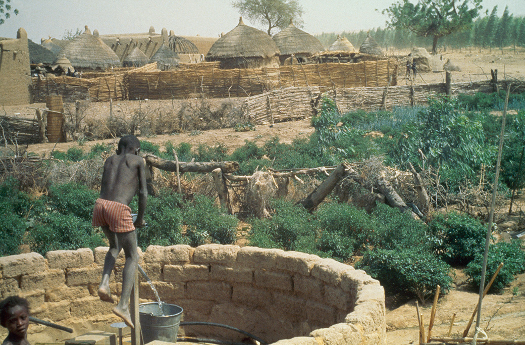Un forage d’hydraulique villageoise avec cultures irriguées (Niger). © BRGM